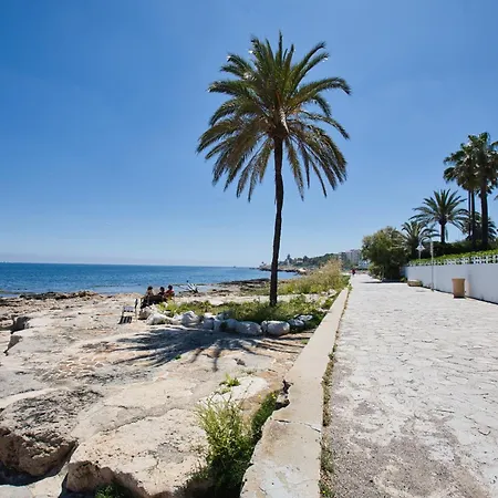059 Jupiter * Denia